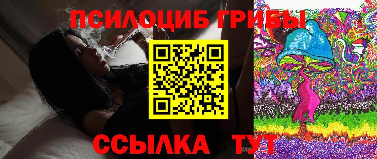 Псилоцибиновые грибы GOLDEN TEACHER  Вход с VPN  Гатчина 