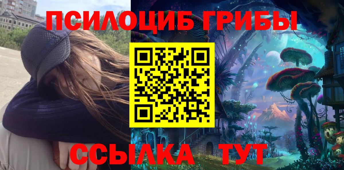 Псилоцибиновые грибы MAGIC MUSHROOMS Гатчина