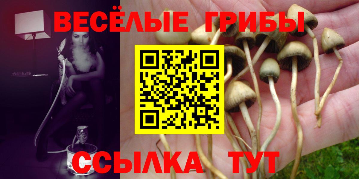 Псилоцибиновые грибы ЛСД  Гатчина  Галлюциногенные грибы Psilocybine cubensis 