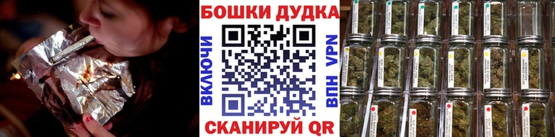 Бошки марихуана план  магазин    Гатчина 